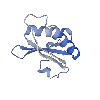 20207_6owg_BX_v1-2
Structure of a synthetic beta-carboxysome shell, T=4
