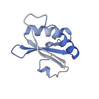 20207_6owg_BX_v1-3
Structure of a synthetic beta-carboxysome shell, T=4