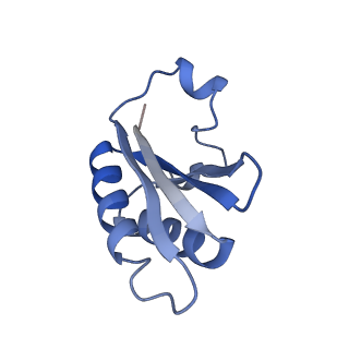 20207_6owg_BY_v1-2
Structure of a synthetic beta-carboxysome shell, T=4