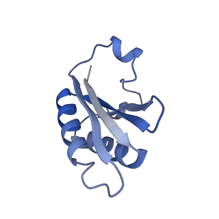 20207_6owg_BY_v1-3
Structure of a synthetic beta-carboxysome shell, T=4