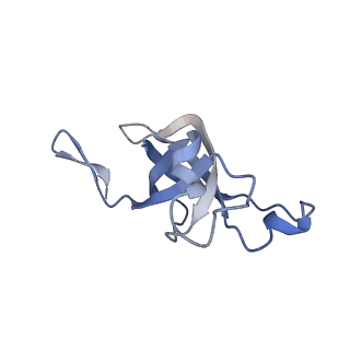 20207_6owg_BZ_v1-2
Structure of a synthetic beta-carboxysome shell, T=4