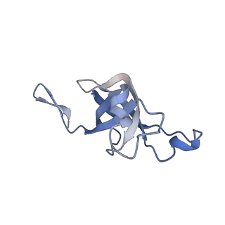 20207_6owg_BZ_v1-3
Structure of a synthetic beta-carboxysome shell, T=4