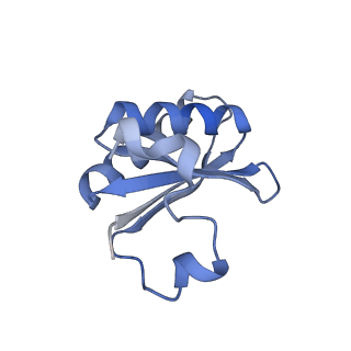 20207_6owg_B_v1-2
Structure of a synthetic beta-carboxysome shell, T=4