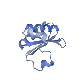 20207_6owg_B_v1-3
Structure of a synthetic beta-carboxysome shell, T=4