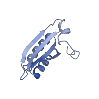 20207_6owg_C0_v1-2
Structure of a synthetic beta-carboxysome shell, T=4