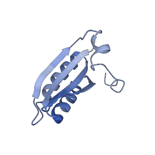 20207_6owg_C0_v1-3
Structure of a synthetic beta-carboxysome shell, T=4