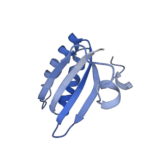 20207_6owg_C1_v1-2
Structure of a synthetic beta-carboxysome shell, T=4