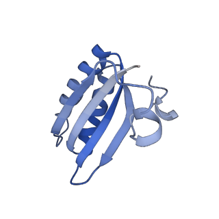 20207_6owg_C1_v1-3
Structure of a synthetic beta-carboxysome shell, T=4