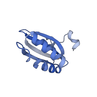 20207_6owg_C2_v1-2
Structure of a synthetic beta-carboxysome shell, T=4