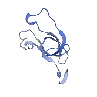 20207_6owg_C3_v1-2
Structure of a synthetic beta-carboxysome shell, T=4