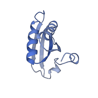 20207_6owg_C5_v1-2
Structure of a synthetic beta-carboxysome shell, T=4