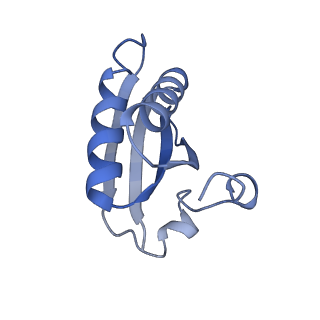 20207_6owg_C5_v1-3
Structure of a synthetic beta-carboxysome shell, T=4