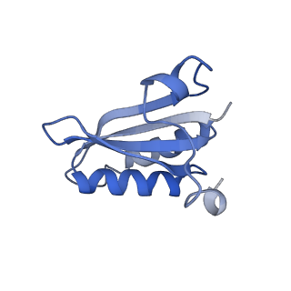 20207_6owg_C6_v1-2
Structure of a synthetic beta-carboxysome shell, T=4