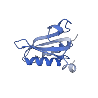 20207_6owg_C6_v1-3
Structure of a synthetic beta-carboxysome shell, T=4