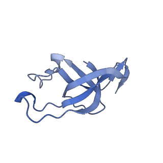20207_6owg_C7_v1-2
Structure of a synthetic beta-carboxysome shell, T=4