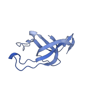 20207_6owg_C7_v1-3
Structure of a synthetic beta-carboxysome shell, T=4