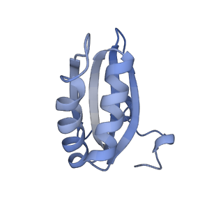 20207_6owg_C8_v1-2
Structure of a synthetic beta-carboxysome shell, T=4