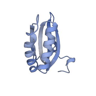 20207_6owg_C8_v1-3
Structure of a synthetic beta-carboxysome shell, T=4