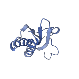 20207_6owg_C9_v1-2
Structure of a synthetic beta-carboxysome shell, T=4