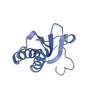 20207_6owg_C9_v1-3
Structure of a synthetic beta-carboxysome shell, T=4