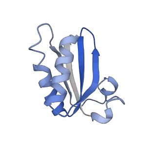 20207_6owg_CA_v1-2
Structure of a synthetic beta-carboxysome shell, T=4