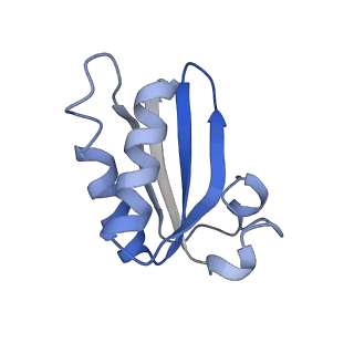 20207_6owg_CA_v1-3
Structure of a synthetic beta-carboxysome shell, T=4