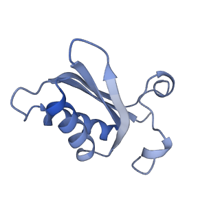 20207_6owg_CC_v1-2
Structure of a synthetic beta-carboxysome shell, T=4