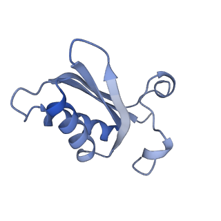 20207_6owg_CC_v1-3
Structure of a synthetic beta-carboxysome shell, T=4