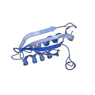 20207_6owg_CD_v1-2
Structure of a synthetic beta-carboxysome shell, T=4