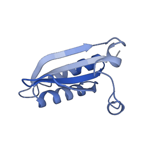 20207_6owg_CD_v1-3
Structure of a synthetic beta-carboxysome shell, T=4