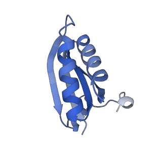 20207_6owg_CE_v1-2
Structure of a synthetic beta-carboxysome shell, T=4