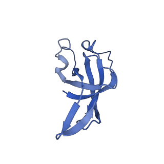 20207_6owg_CF_v1-3
Structure of a synthetic beta-carboxysome shell, T=4