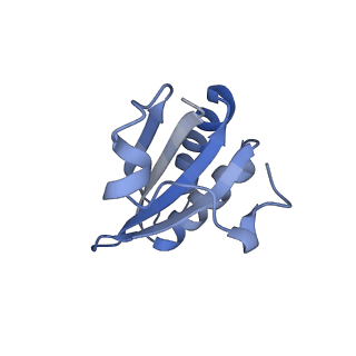20207_6owg_CG_v1-2
Structure of a synthetic beta-carboxysome shell, T=4