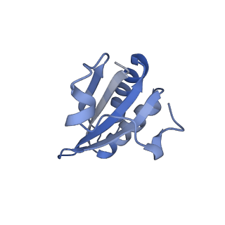 20207_6owg_CG_v1-3
Structure of a synthetic beta-carboxysome shell, T=4