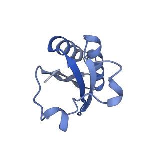 20207_6owg_CH_v1-2
Structure of a synthetic beta-carboxysome shell, T=4