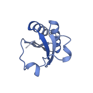 20207_6owg_CH_v1-3
Structure of a synthetic beta-carboxysome shell, T=4