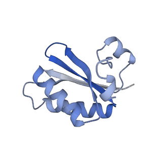 20207_6owg_CI_v1-2
Structure of a synthetic beta-carboxysome shell, T=4