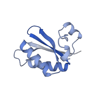 20207_6owg_CI_v1-3
Structure of a synthetic beta-carboxysome shell, T=4