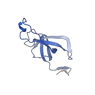 20207_6owg_CJ_v1-2
Structure of a synthetic beta-carboxysome shell, T=4