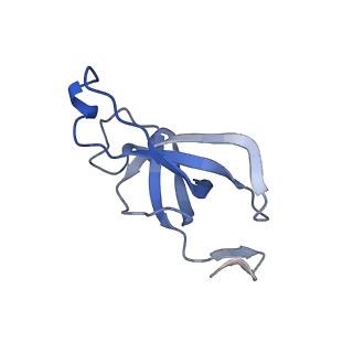 20207_6owg_CJ_v1-3
Structure of a synthetic beta-carboxysome shell, T=4