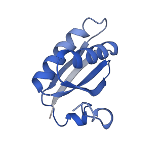 20207_6owg_CK_v1-2
Structure of a synthetic beta-carboxysome shell, T=4