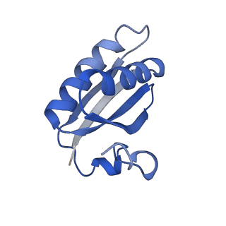 20207_6owg_CK_v1-3
Structure of a synthetic beta-carboxysome shell, T=4