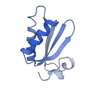 20207_6owg_CL_v1-2
Structure of a synthetic beta-carboxysome shell, T=4