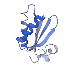 20207_6owg_CL_v1-3
Structure of a synthetic beta-carboxysome shell, T=4