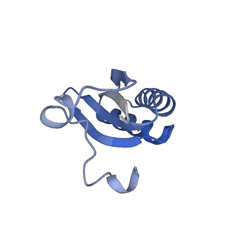 20207_6owg_CM_v1-2
Structure of a synthetic beta-carboxysome shell, T=4