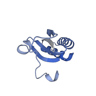 20207_6owg_CM_v1-3
Structure of a synthetic beta-carboxysome shell, T=4