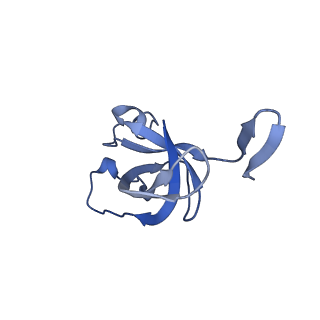 20207_6owg_CN_v1-2
Structure of a synthetic beta-carboxysome shell, T=4