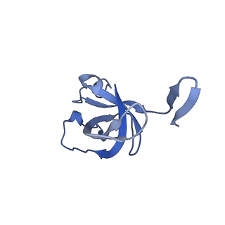 20207_6owg_CN_v1-3
Structure of a synthetic beta-carboxysome shell, T=4