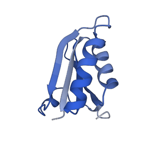 20207_6owg_CO_v1-2
Structure of a synthetic beta-carboxysome shell, T=4