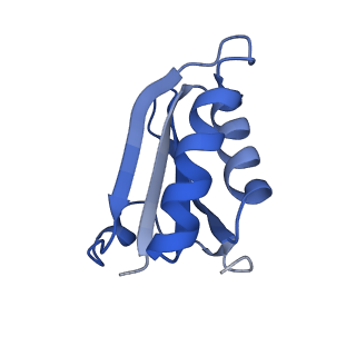 20207_6owg_CO_v1-3
Structure of a synthetic beta-carboxysome shell, T=4